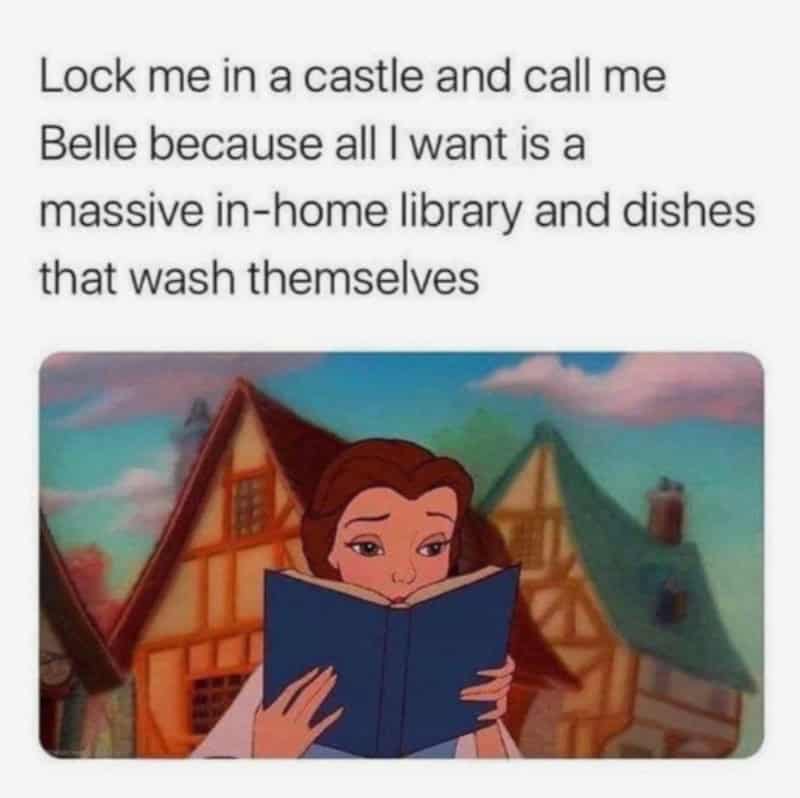 Disney meme with Belle reading a book, caption about a massive in-home library and self-cleaning DIs.