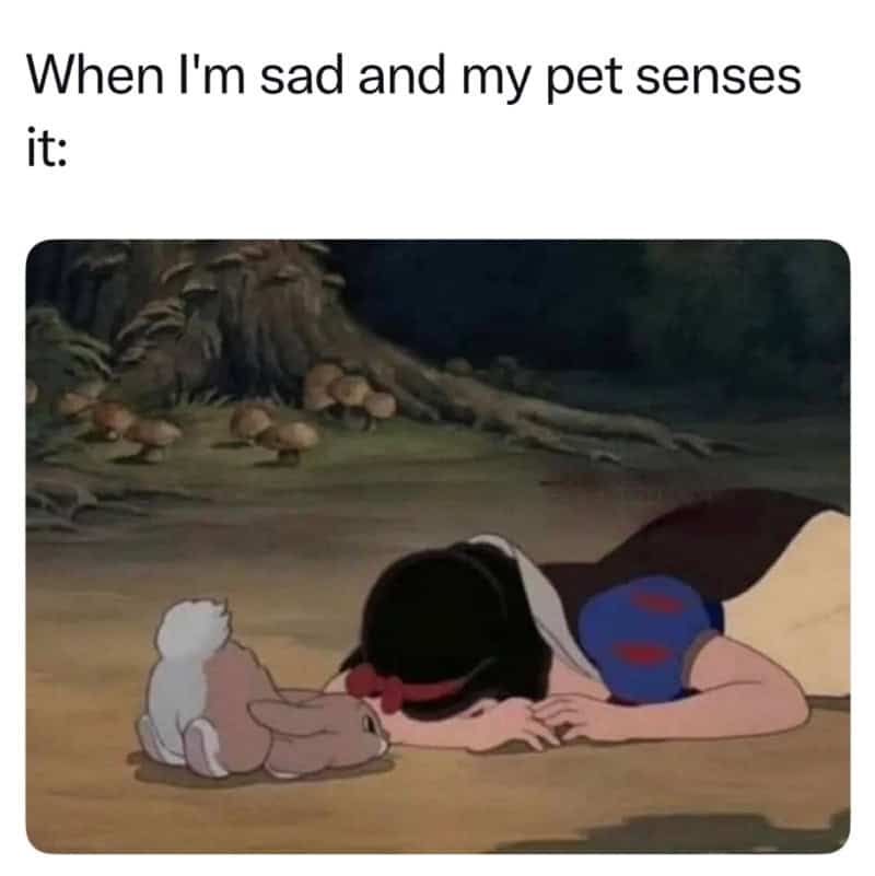 Snow White and her pet rabbit with a sad expression, lying on the ground.