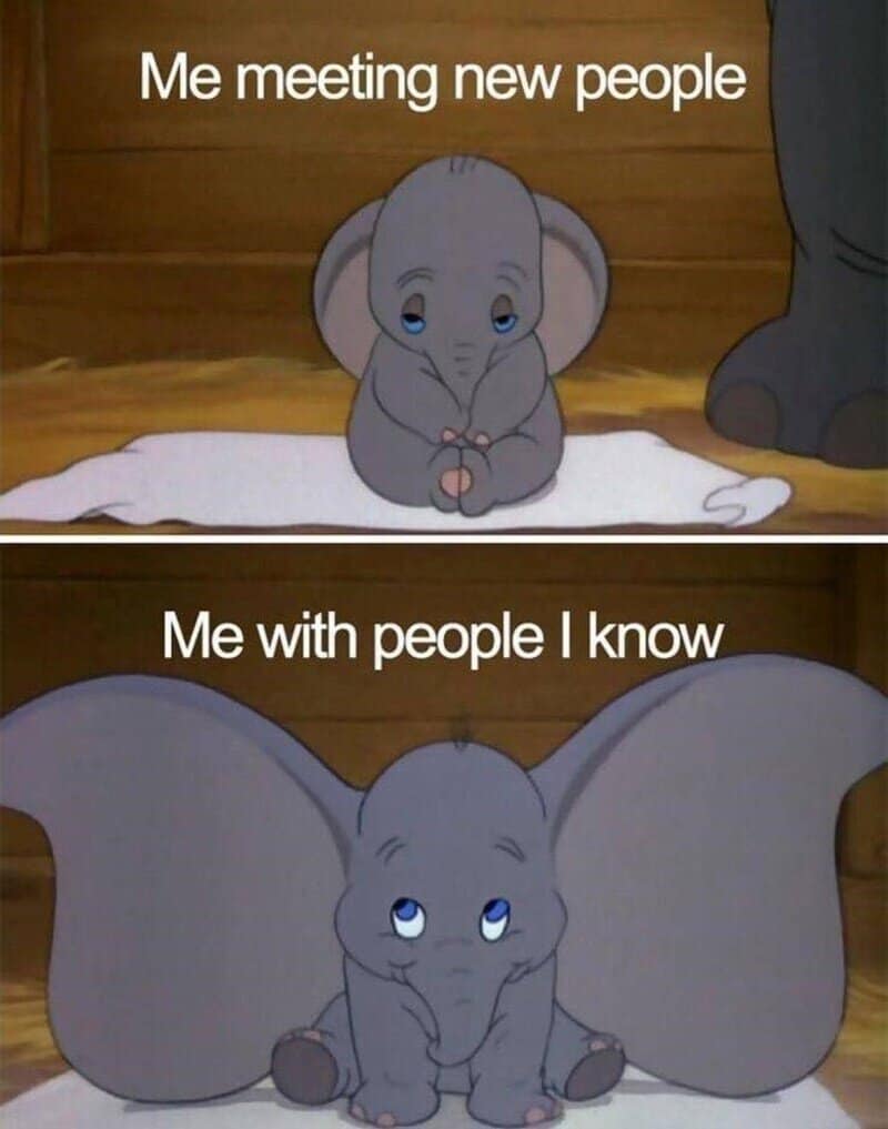 Cute baby elephant with big ears, sitting on a white cloth, looking shy.