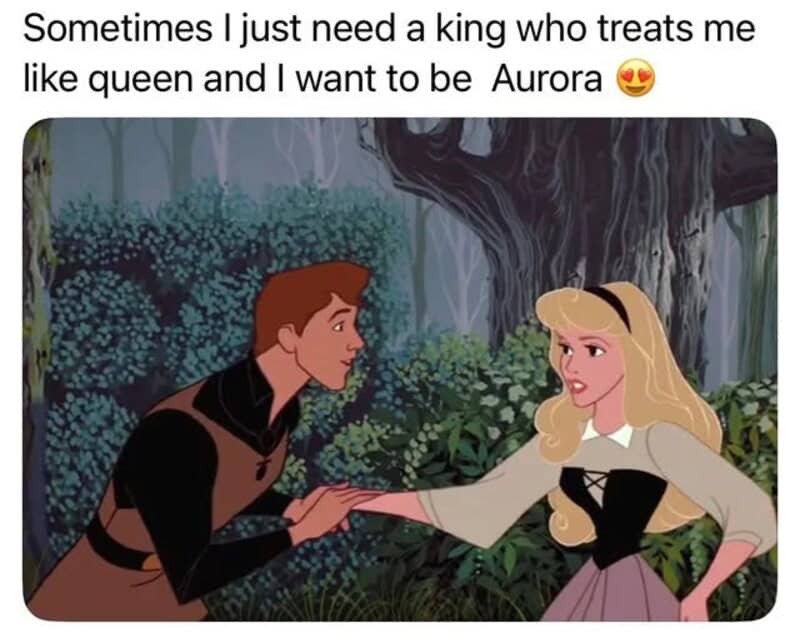 Disney meme with Aurora and a prince in a forest, prince holding Aurora's hand.