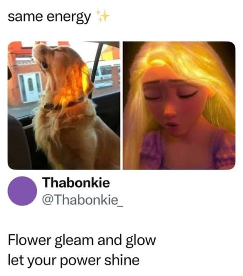 Dog and Rapunzel with glowing hair, captioned 'same energy' and 'flower gleam and glow'.
