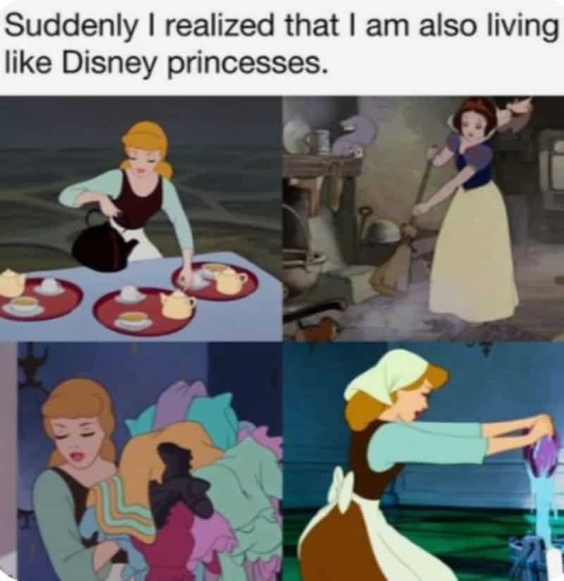 Disney princesses in various scenes with the caption about living like Disney princesses.