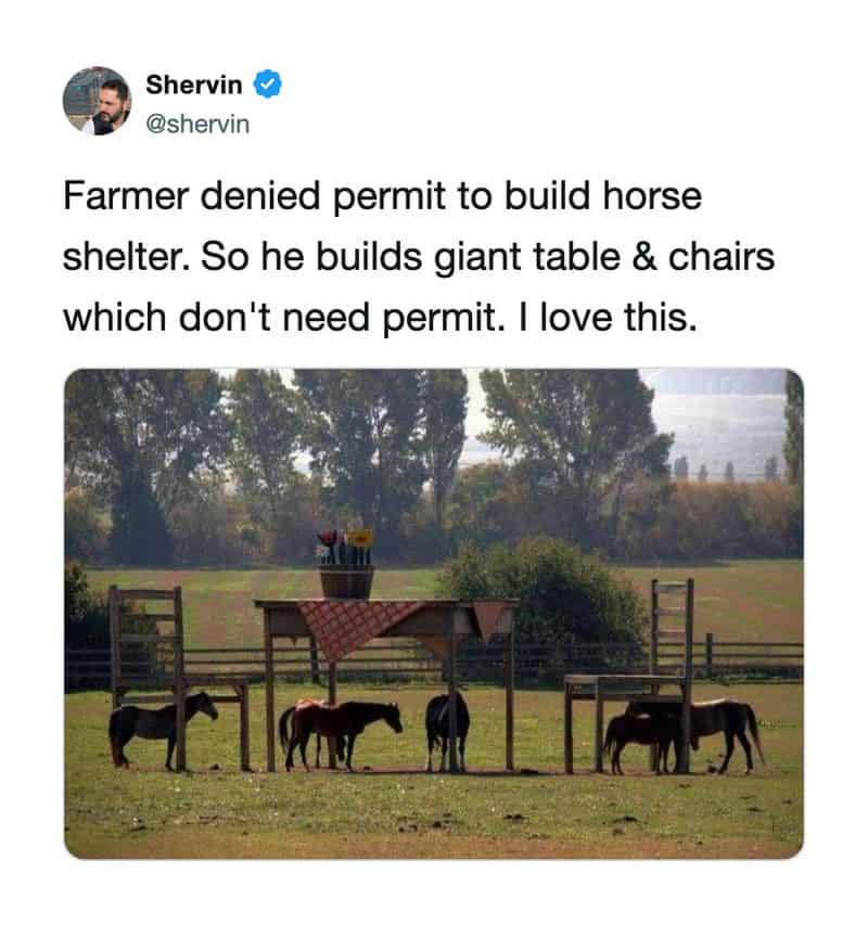Farmer built giant table and chairs for his horses, no permit needed.