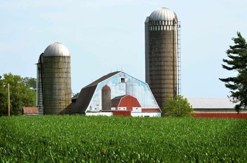 A farm with two silos and a barn surrounded by green fields.