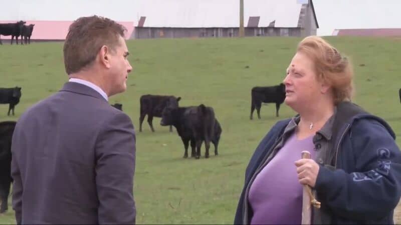 Man and woman talking on a farm with cows in the background.