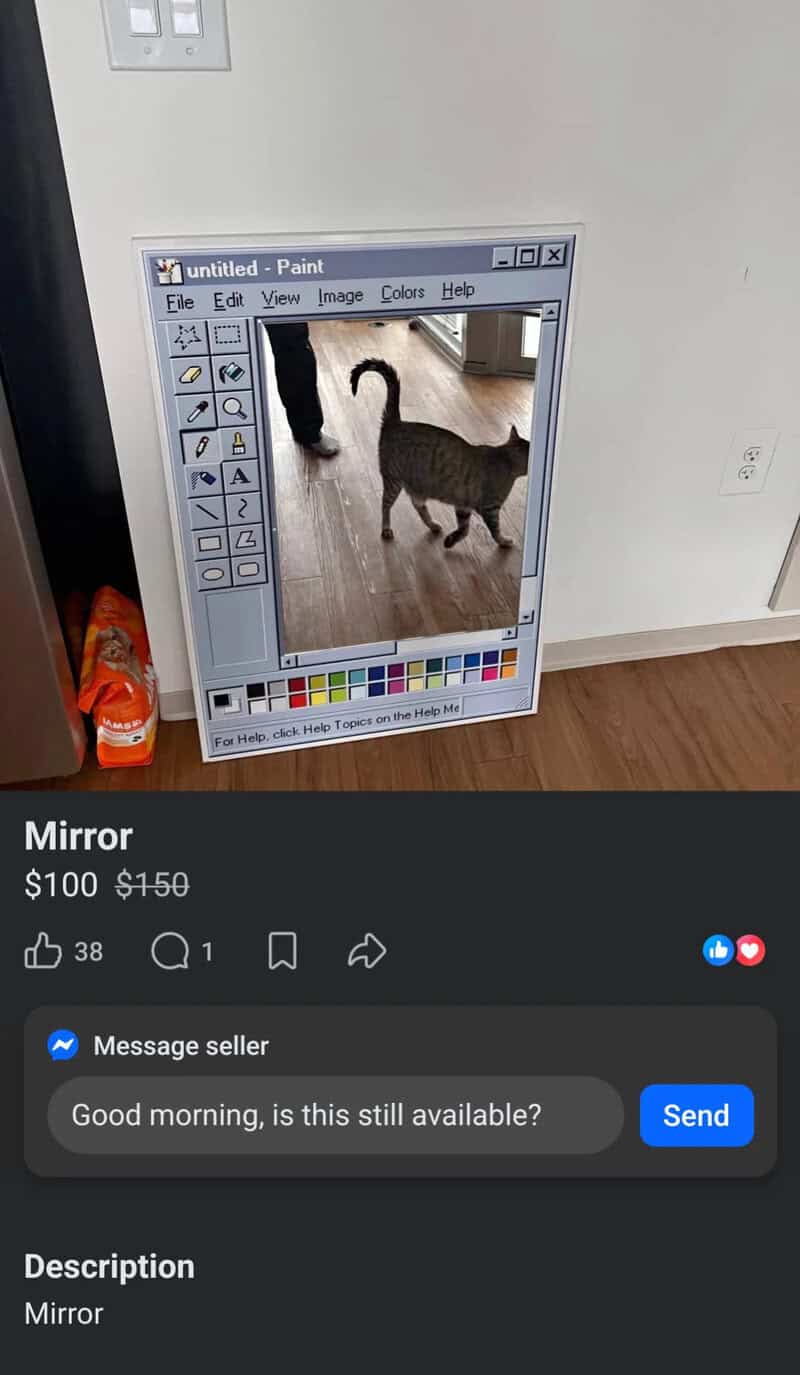 A cat is seen through a computer paint program window on a mirror.