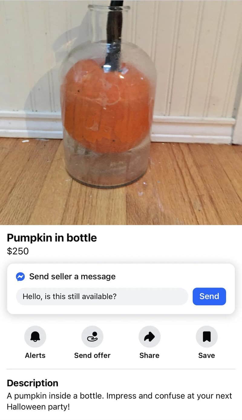 Pumpkin inside a clear bottle, for sale at insanefbmarketplace.