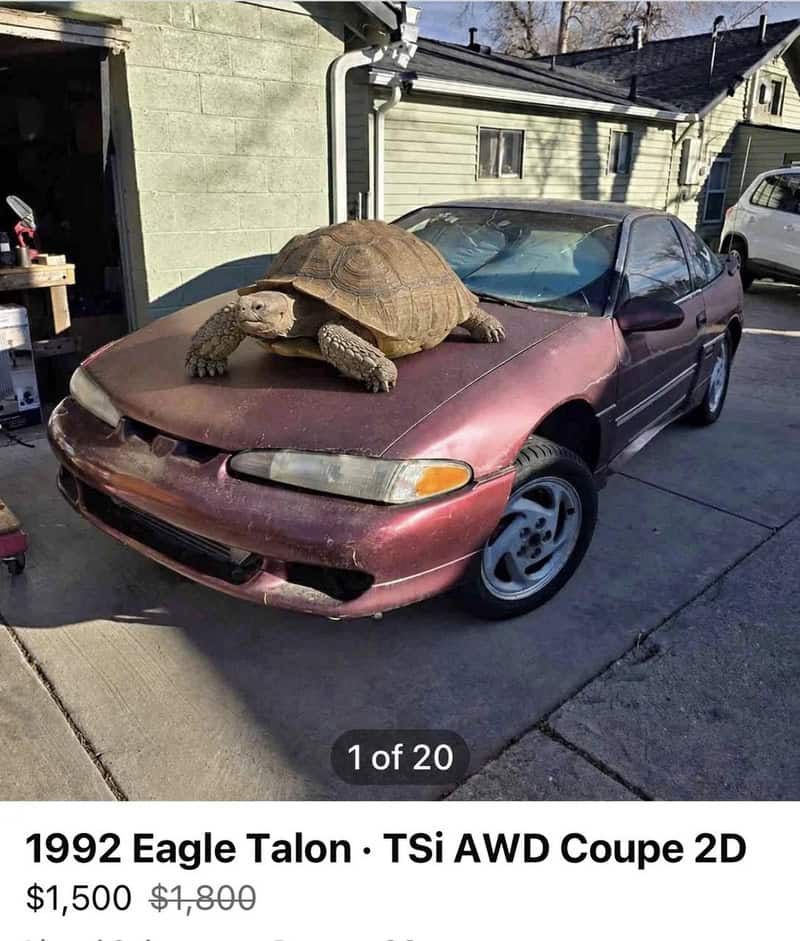 Turtle on a 1992 Eagle Talon TSi AWD Coupe 2D with faded paint.
