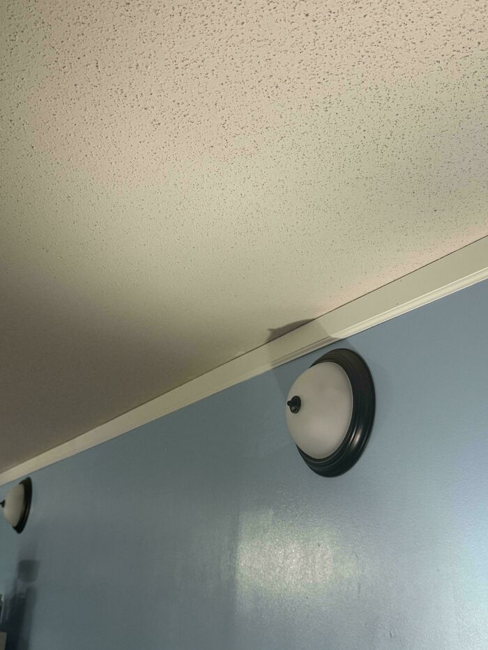 Ceiling light fixtures on a blue wall with a white ceiling.