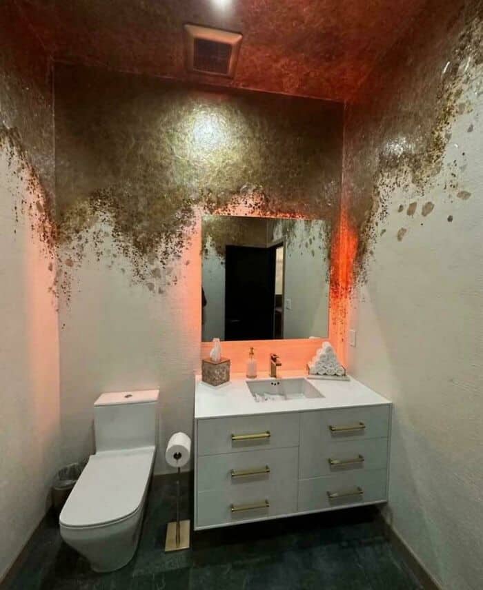 Bathroom with mold and water damage on walls and ceiling.