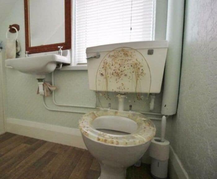 Toilet with mold and stains, bathroom with sink and window.