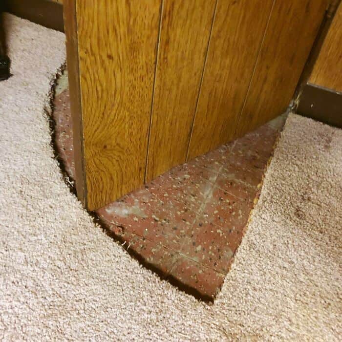 Corner of a wooden wall with a brick base and carpeted floor.