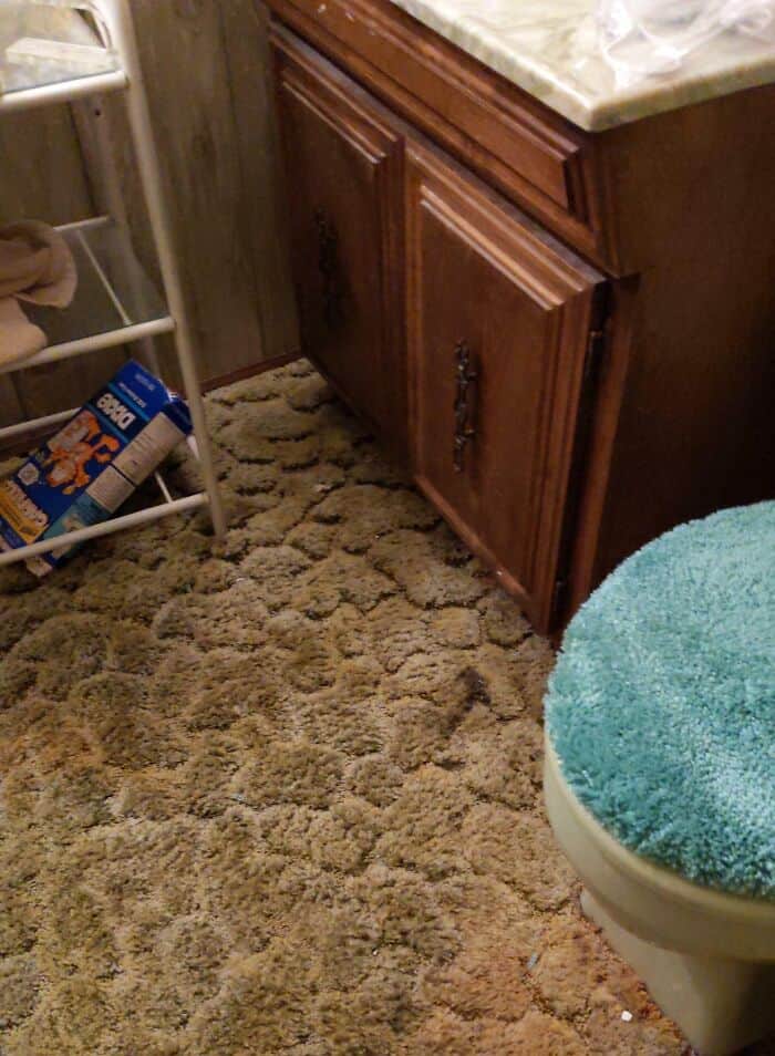 Bathroom cabinet and toilet with blue cover on the seat.