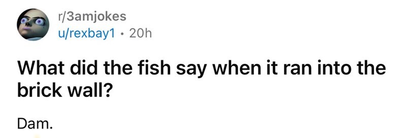 What did the fish say when it ran into the brick wall? Dam.