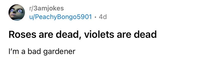 Roses are dead, violets are dead. I'm a bad gardener.