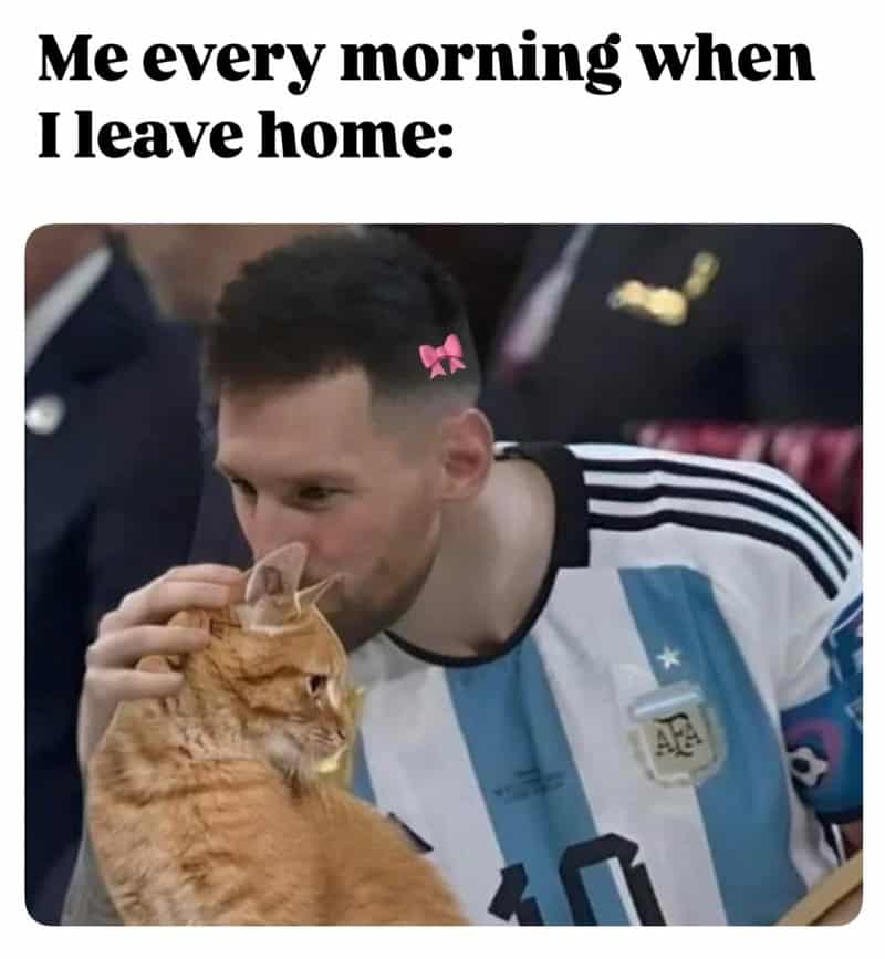Me every morning when I leave home: Lionel Messi with a pink bow on his head petting a cat.