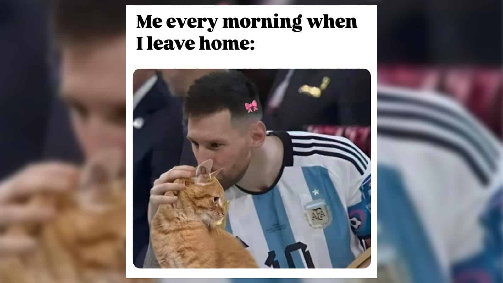 Messi in Argentina jersey with a pink bow on his head, drinking from a cup, with a cat.