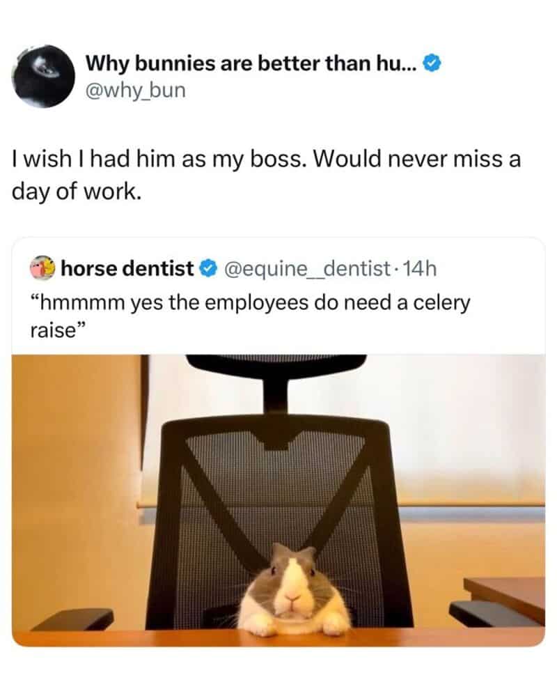 Hamster sitting in an office chair with a serious expression.