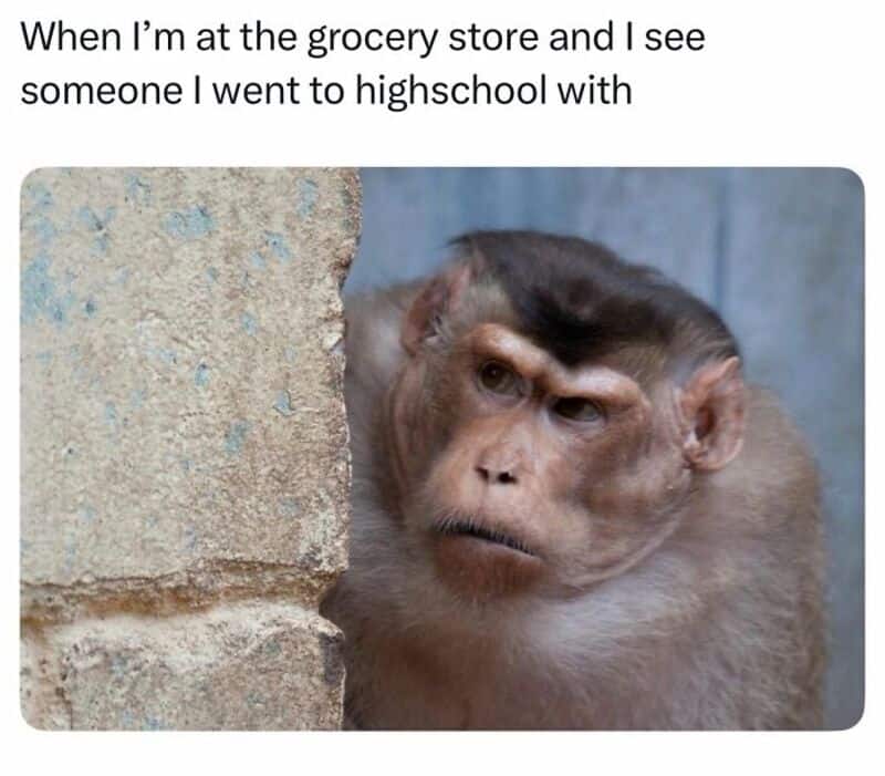 Monkey with a confused expression peeking from behind a wall.