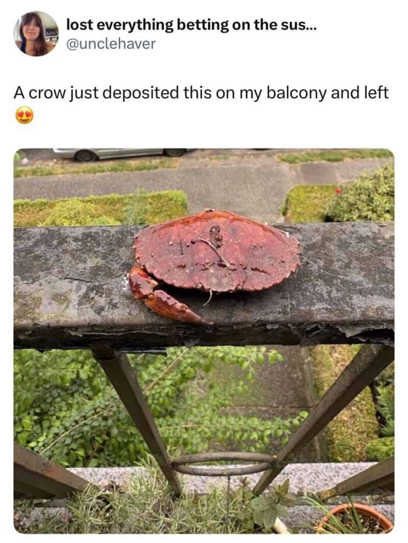A crow's nest on a balcony with a broken clock face.