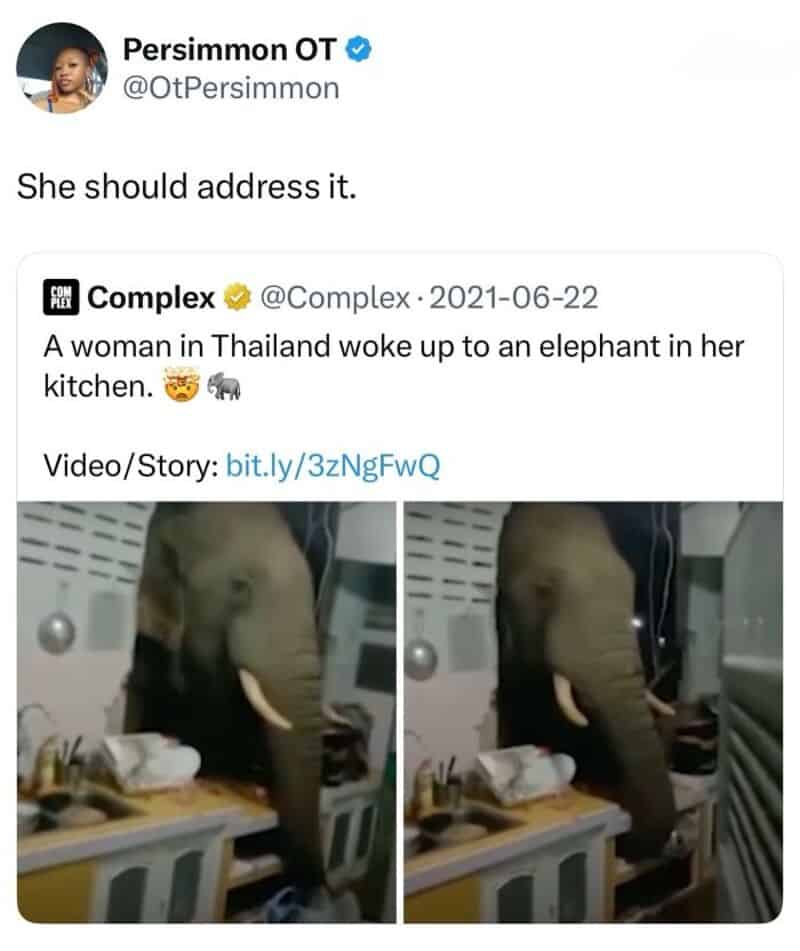 Woman in Thailand wakes up to an elephant in her kitchen.