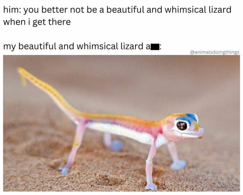Whimsical lizard with colorful markings on a sandy surface.