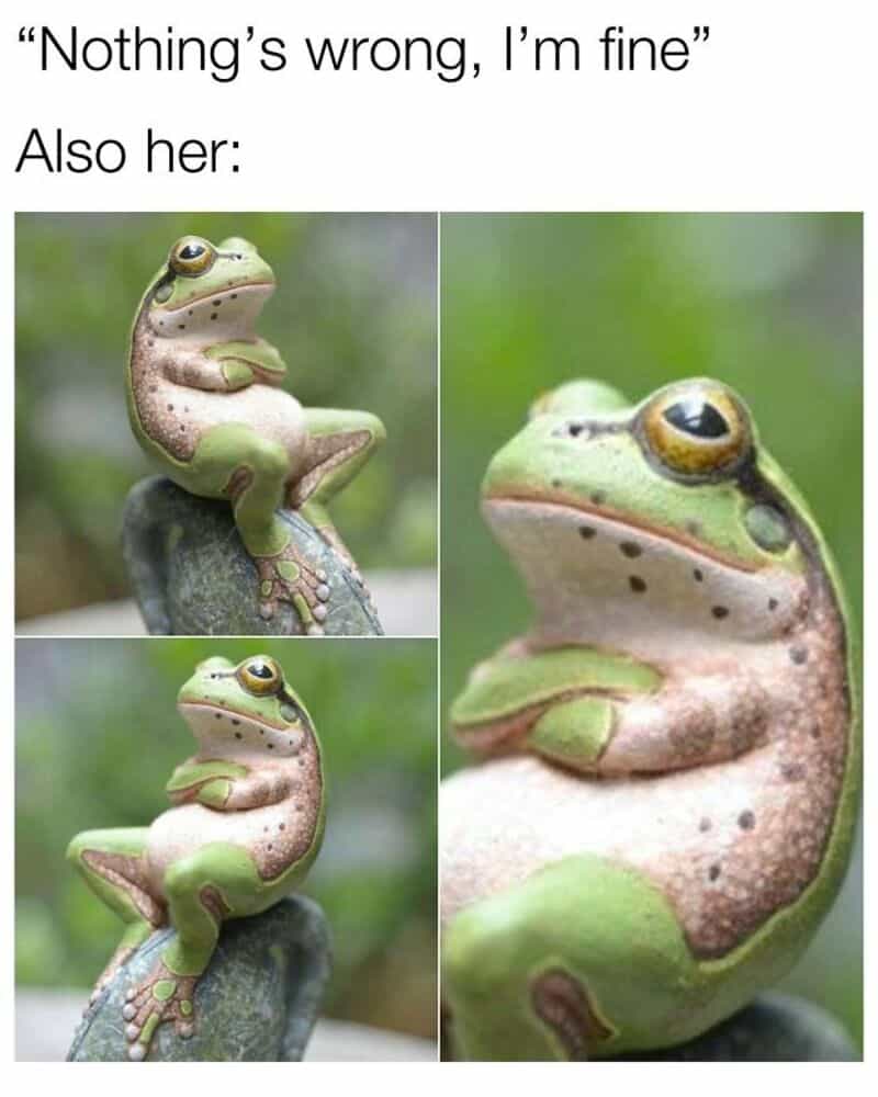 Funny meme with a frog and a lizard, saying 'Nothing's wrong, I'm fine' and 'Also her:'.