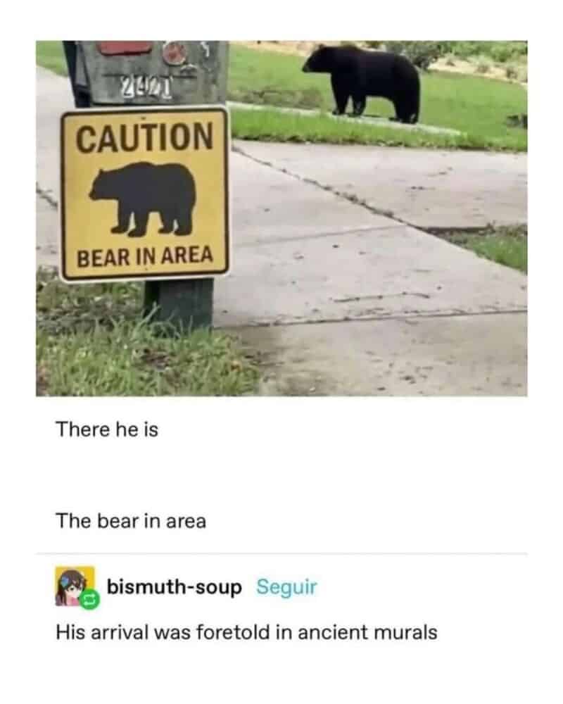 Caution bear in area sign with a bear silhouette and a black bear in the background.