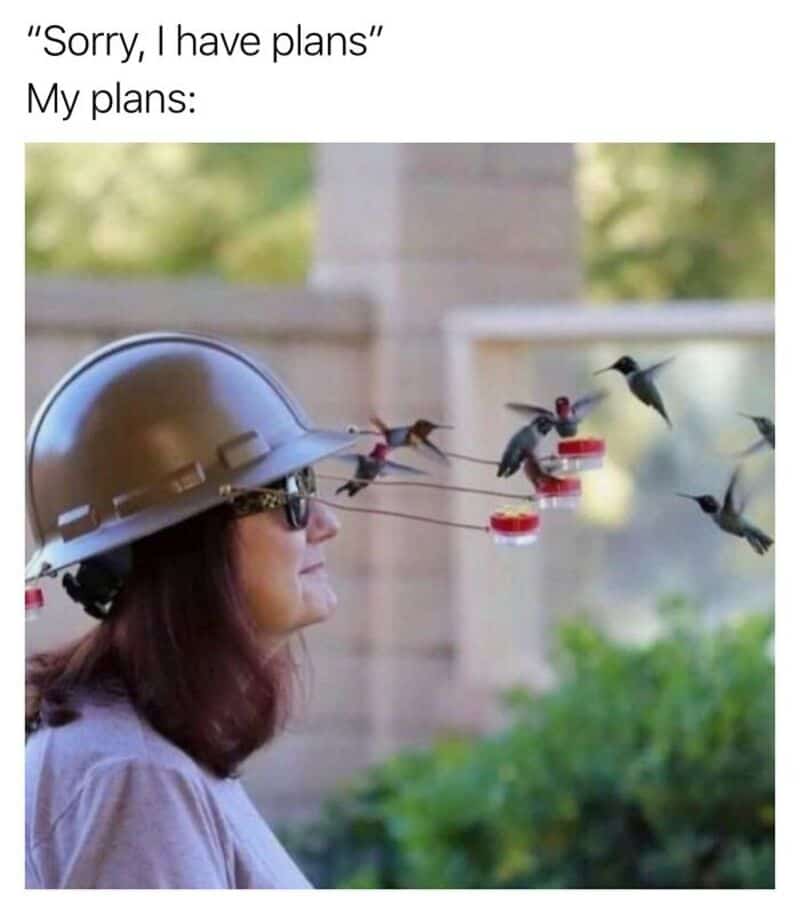 Woman with helmet and sunglasses, with hummingbirds attached to her glasses, flying around.