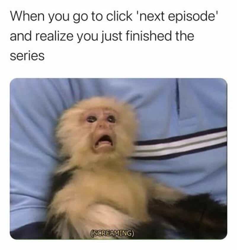 When you go to click 'next episode' and realize you just finished the series.