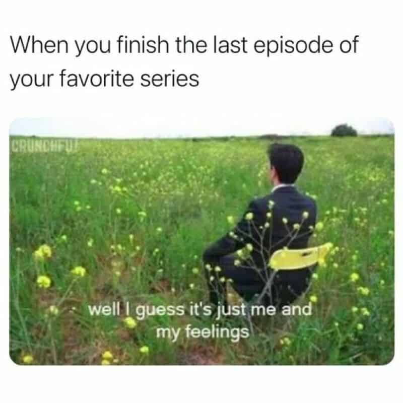 Person sitting alone in a field with the caption about finishing a favorite series.