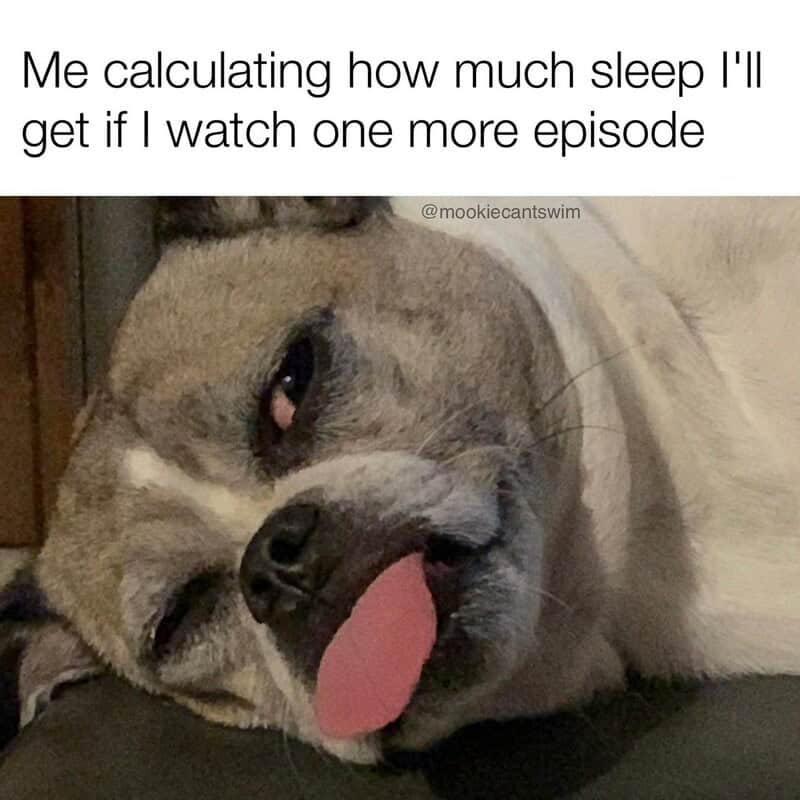 Me calculating how much sleep I'll get if I watch one more episode with a tired dog lying down.