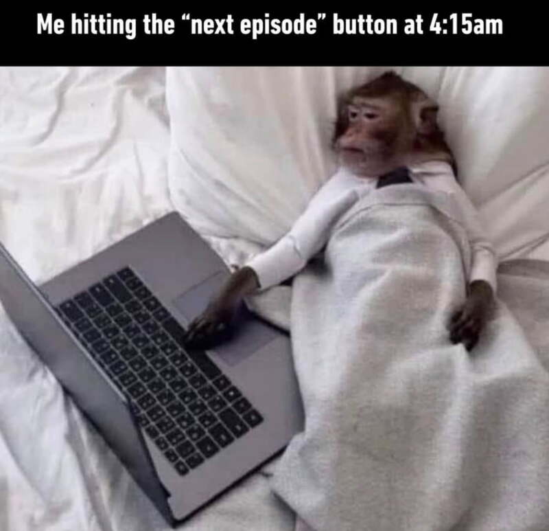 Monkey lying in bed with a laptop, caption about hitting next episode at 4:15am.