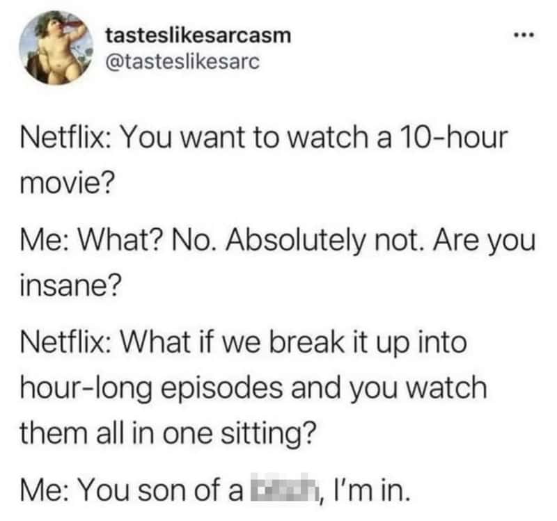 A humorous meme about binge-watching Netflix for hours.