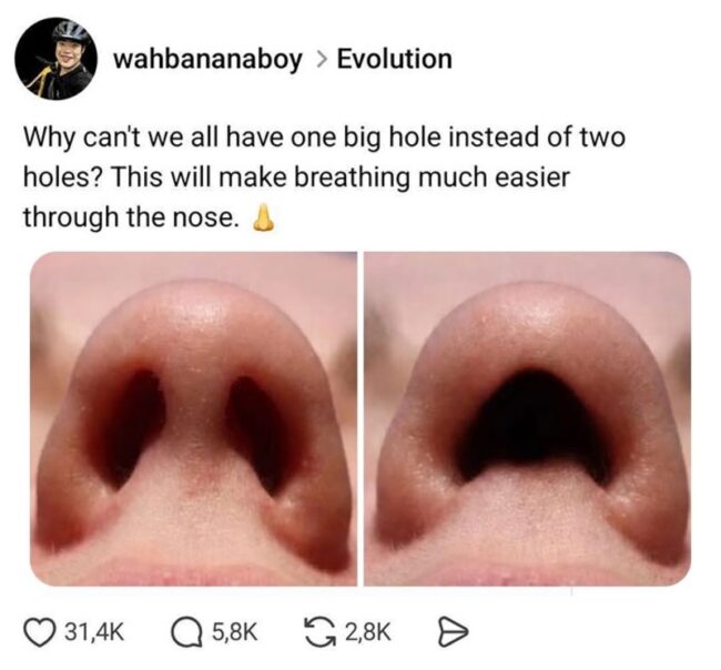 Comparison of a nose with two holes and one big hole for easier breathing.
