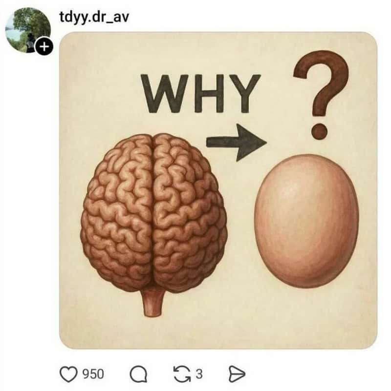 Why? Brain and egg with a question mark.