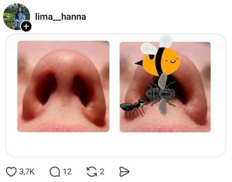 Comparison of a nose with a cartoon bee and ant overlaid on it.