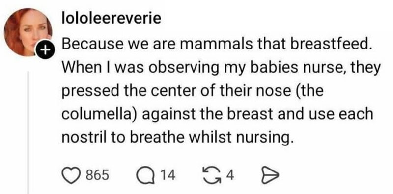 Mammal breastfeeding, baby pressing nose against breast, nursing.