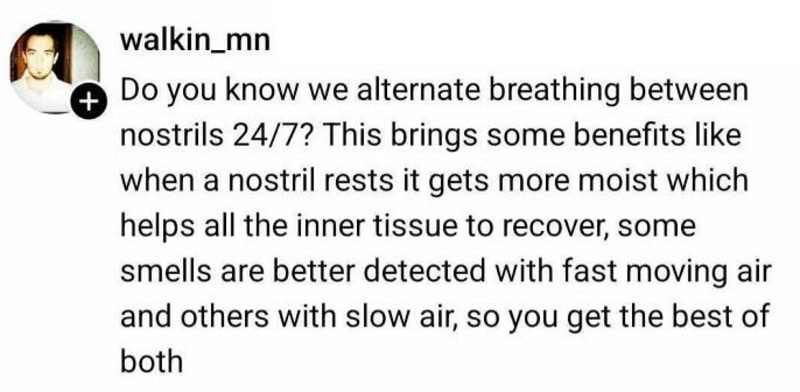 Text explaining nasal breathing benefits and alternating nostrils 24/7.