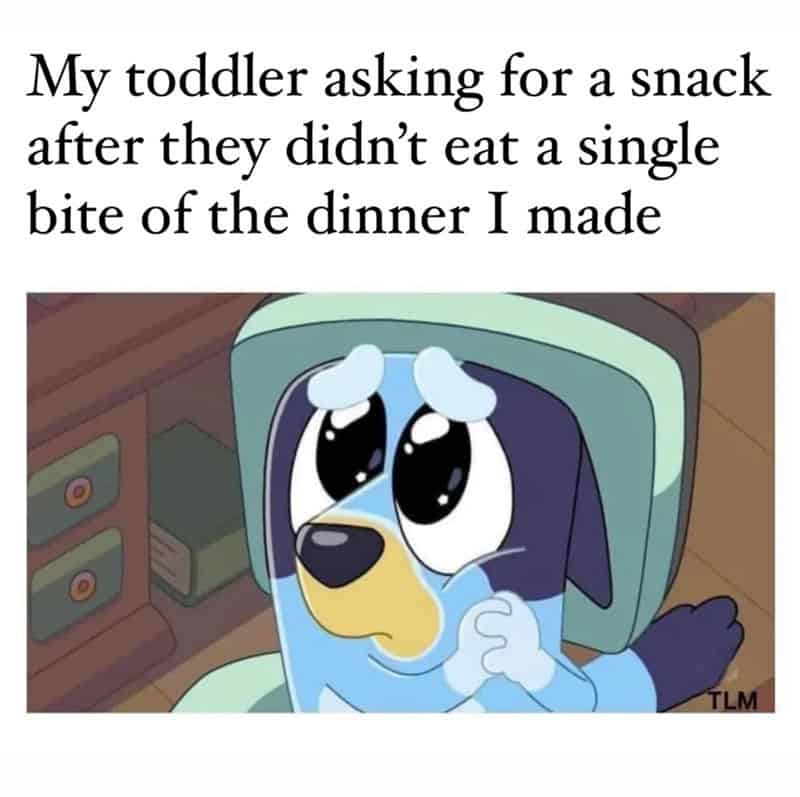 My toddler asking for a snack after they didn’t eat a single bite of the dinner I made.