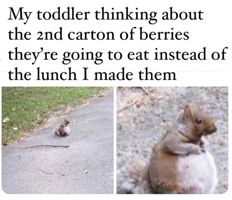 My toddler thinking about the 2nd carton of berries they’re going to eat instead of the lunch I made.