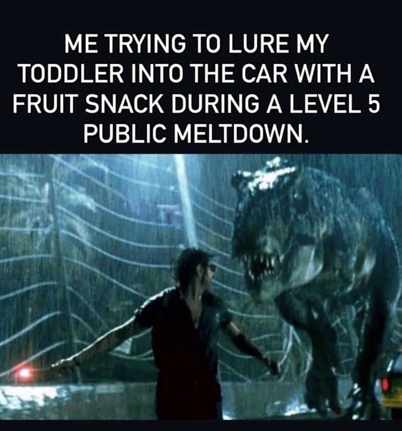 Trying to lure my toddler into the car with a fruit snack during a level 5 public meltdown.