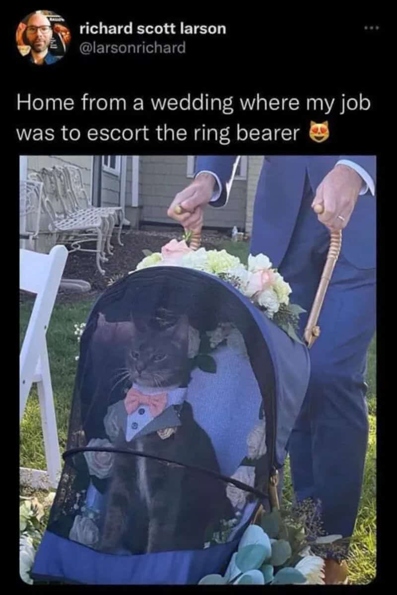 Home from wedding where job was to escort the ring bearer.