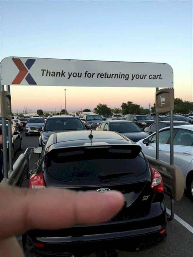 Thank you for returning your cart.