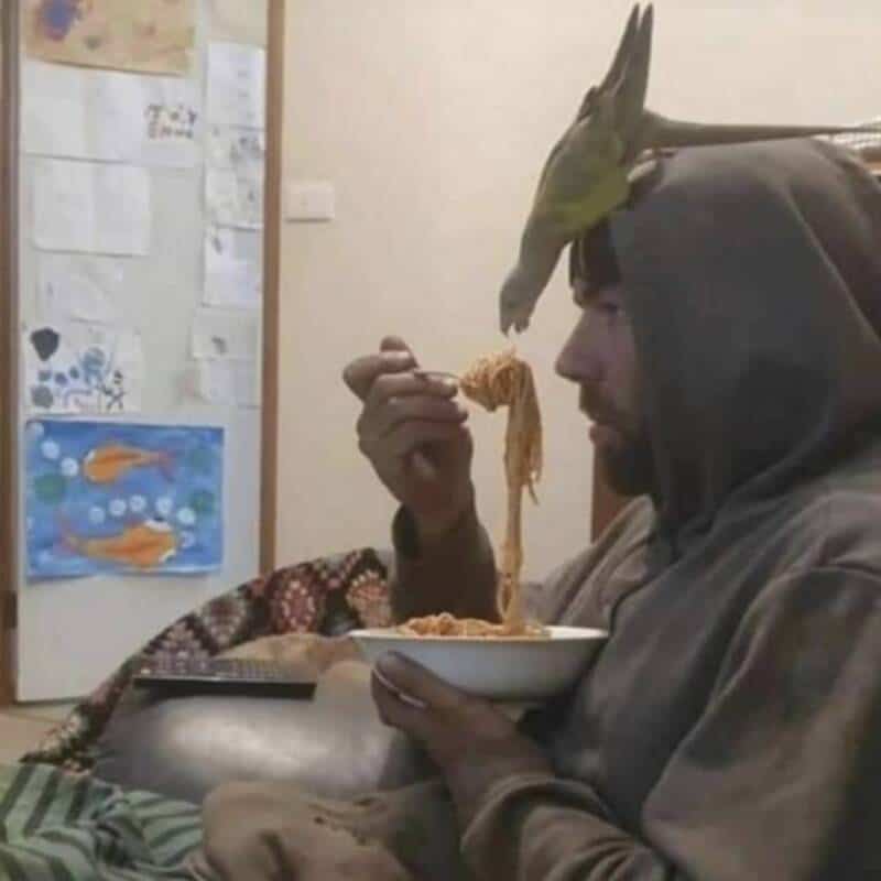 Man with a bird mask eating noodles on a sofa.