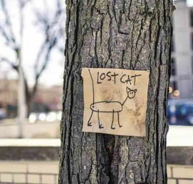 Lost cat sign on tree with a simple drawing of a cat.