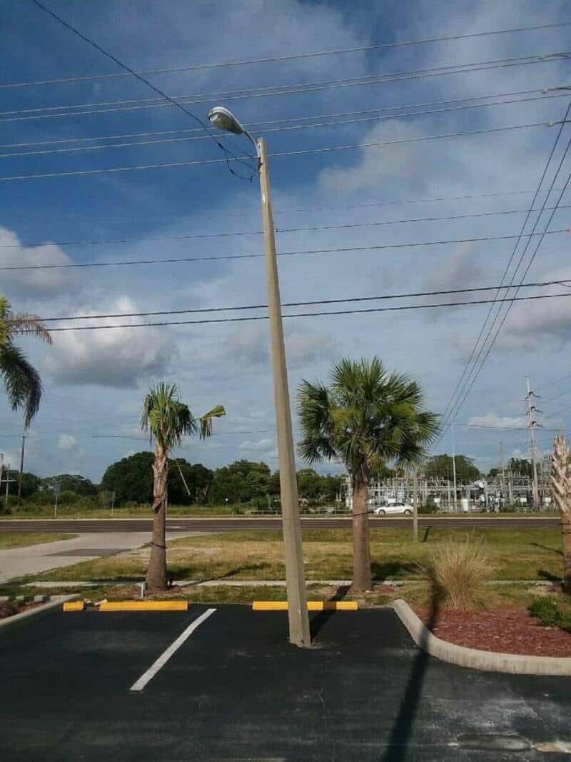 Streetlight leaning over parking lot with palm trees and power lines in the background, under a part.