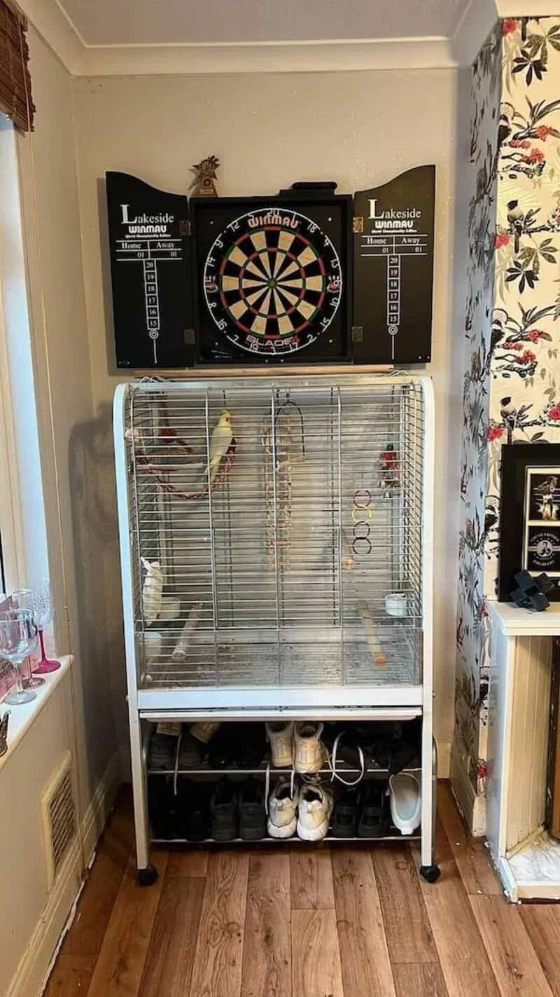 A dartboard on a wall above a birdcage with birds inside, in a room with floral wallpaper.