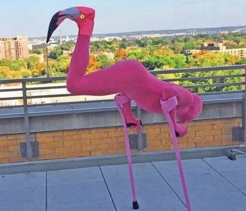 Pink flamingo sculpture on a balcony with cityscape background.