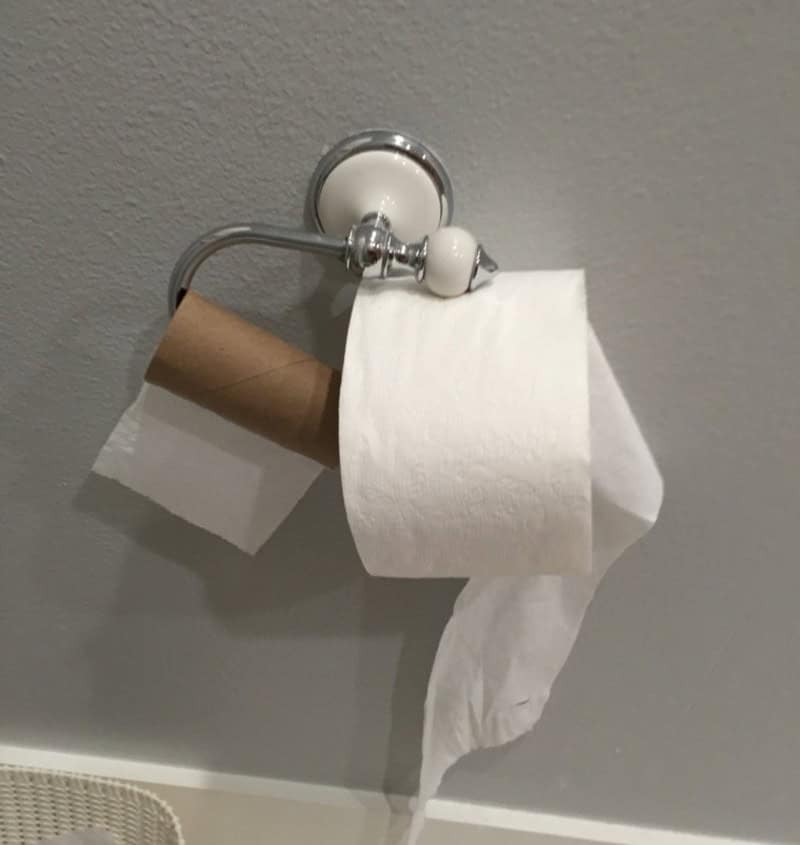 Toilet paper roll hanging from a wall-mounted holder with a cardboard tube.